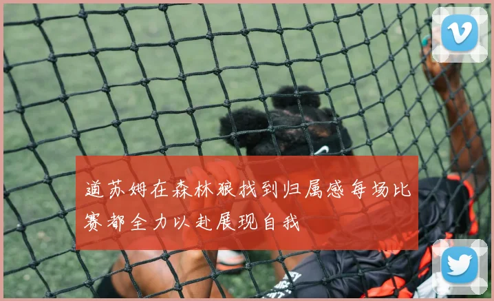 道苏姆在森林狼找到归属感每场比赛都全力以赴展现自我