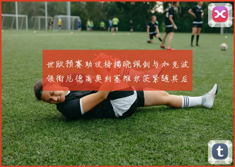 世欧预赛助攻榜揭晓佩剑与加克波领衔厄德高奥利塞维尔茨紧随其后