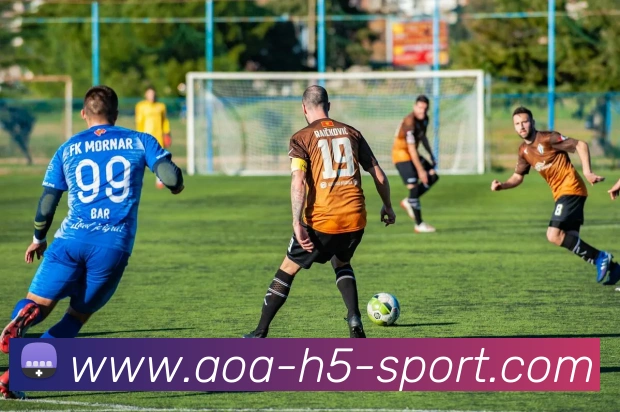 AOA体育APP 高清赛事图