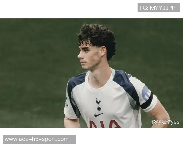 热刺客战博德闪耀首发阵容约翰逊理查利森出战帕利尼亚待命替补 热刺客战博德闪耀首发阵容约翰逊理查利森出战帕利尼亚待命替补